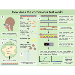 Coronavirus testing2