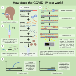 Coronavirus testing3