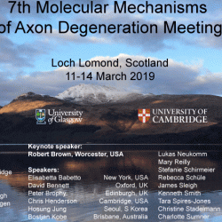 7th International Molecular & Cellular Mechanisms of Axon Degeneration Workshop