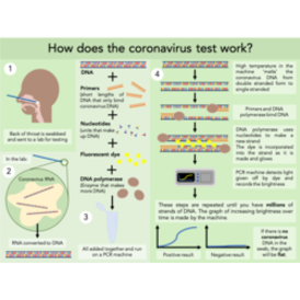 Coronavirus testing2