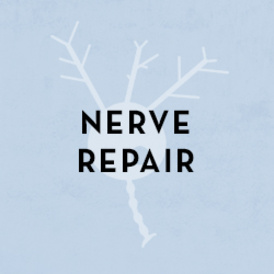 Nerve Repair Square