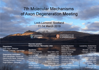 7th International Molecular & Cellular Mechanisms of Axon Degeneration Workshop
