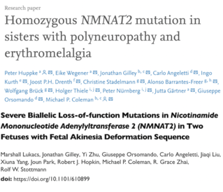 New Papers Published