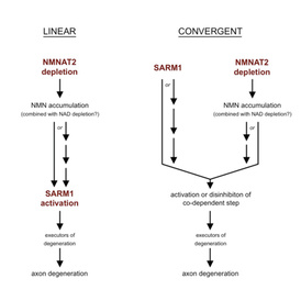 WD Diagram 400.jpg