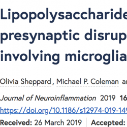 Journal of Neuroinflammation Publication 