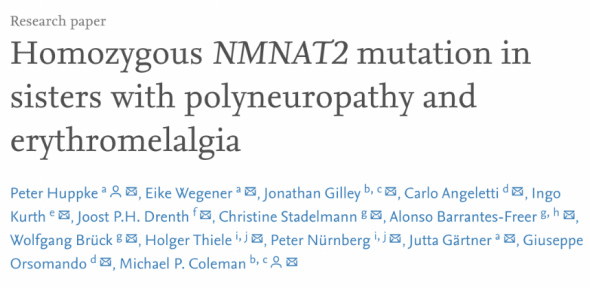 New Papers Published